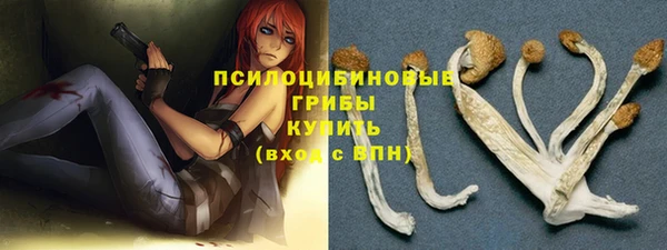 альфа пвп Заводоуковск