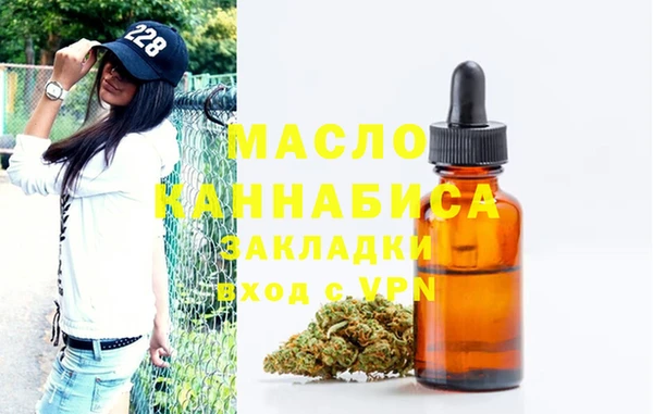 крисы Ельня