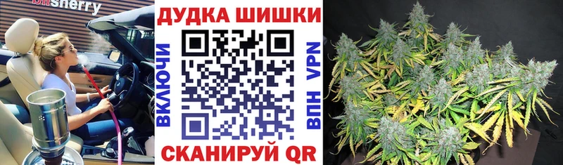 Конопля план  где купить   Магас 